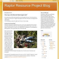 Raptor Resource Project Blog: How big is the Decorah Bald eagle nest?