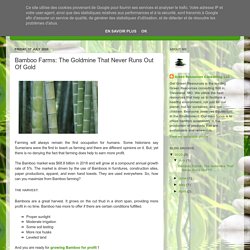 Bamboo Farms: The Goldmine That Never Runs Out Of Gold