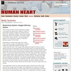 Body Systems: Respiratory System