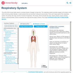 Interactive Anatomy Guide