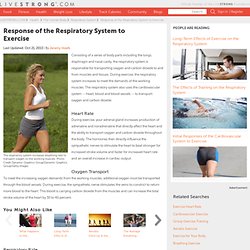 Response of the Respiratory System to Exercise