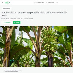 Antilles : l'Etat, "premier responsable" de la pollution au chlordécone.