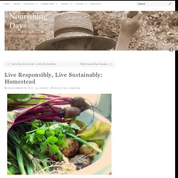 Live Responsibly, Live Sustainably: Homestead