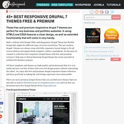 40 Best Drupal Responsive Themes Free and Premium