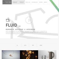 Fluid