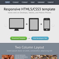 Responsive HTML5/CSS3 template