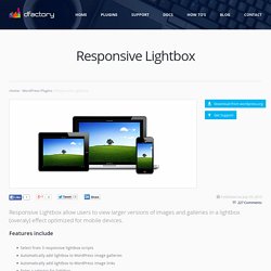 Responsive Lightbox - WP WordPress Plugin - dFactory