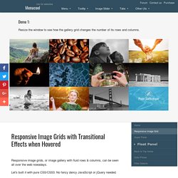 Responsive Image Grids with Transitional Effects when Hovered