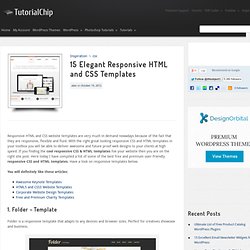 15 Elegant Responsive HTML and CSS Templates