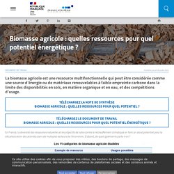 STRATEGIE_GOUV_FR 29/07/21 Biomasse agricole : quelles ressources pour quel potentiel énergétique ?