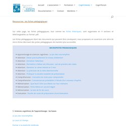 Ressources : les fiches pédagogiques