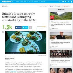 Britain's first insect restaurant brings sustainability to the table