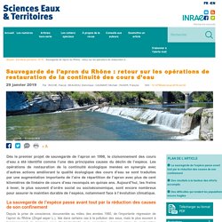 Sauvegarde apron du Rhône Opérations restauration continuité cours d’eau
