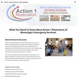 Action 1 Restoration & Remodeling - Mississippi