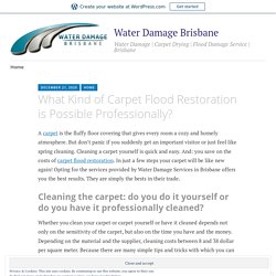 What Kind of Carpet Flood Restoration is Possible Professionally? – Water Damage Brisbane