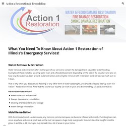 Action 1 Restoration & Remodeling - Illinois