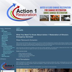 Illinois - Action 1 Restoration & Remodeling