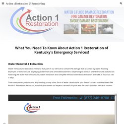 Action 1 Restoration & Remodeling - kentucky