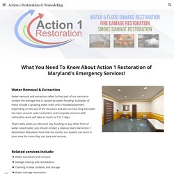 Action 1 Restoration & Remodeling - Maryland