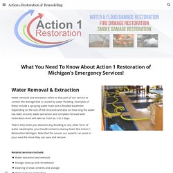 Action 1 Restoration & Remodeling - Michigan