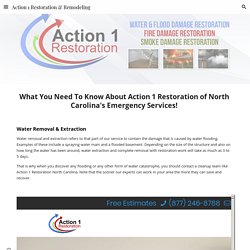 Action 1 Restoration & Remodeling - North Carolina