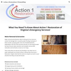 Action 1 Restoration & Remodeling - Virginia