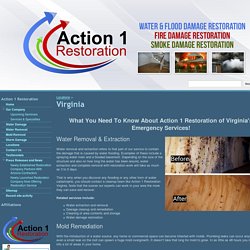 Virginia - Action 1 Restoration & Remodeling