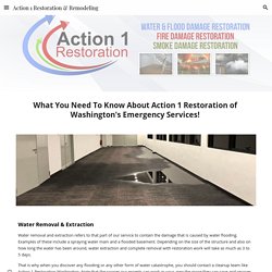 Action 1 Restoration & Remodeling - Washington