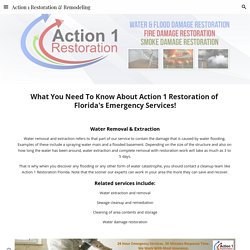 Action 1 Restoration & Remodeling - Florida