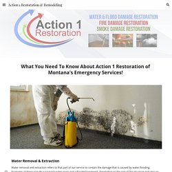 Action 1 Restoration & Remodeling - Montana