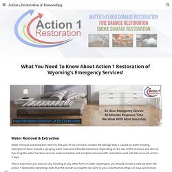 Action 1 Restoration & Remodeling - Wyoming