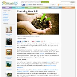 Restoring Your Soil: Tips to Make Your Garden Greener