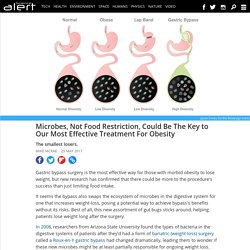 Microbes, not food restriction, could be the key to our most effective treatment for obesity