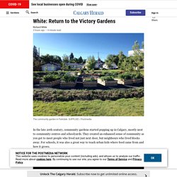White: Return to the Victory Gardens