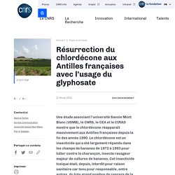 CNRS 12/02/21 Résurrection du chlordécone aux Antilles françaises avec l’usage du glyphosate