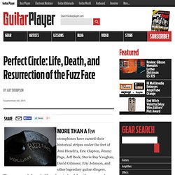 Perfect Circle: Life, Death, and Resurrection of the Fuzz Face