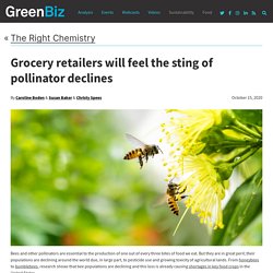 Grocery retailers will feel the sting of pollinator declines