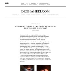 Rethinking Tongue Tie Anatomy: Anterior vs Posterior Is Irrelevant — DrGhaher...