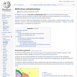 Réticulum endoplasmique