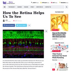 How the Retina Helps Us To See - Beta Compression