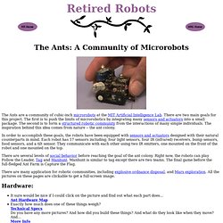 Retired Robots - The Ants