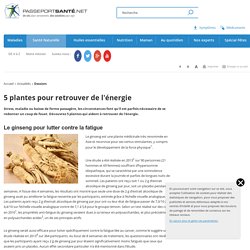 Le ginseng pour lutter contre la fatigue