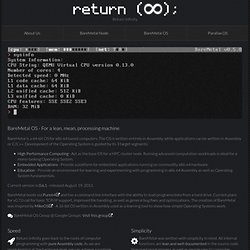 Return Infinity - BareMetal OS