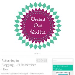Returning to Blogging...if I Remember How - Orchid Owl Quilts