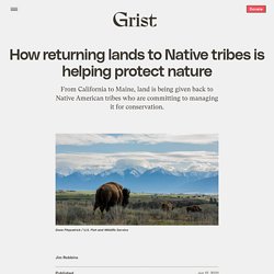 12 juin 2021 How returning lands to Native tribes is helping protect nature