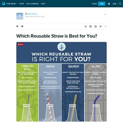 Which Reusable Straw is Best for You?: ext_5369292 — LiveJournal