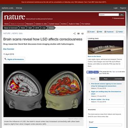 Brain scans reveal how LSD affects consciousness