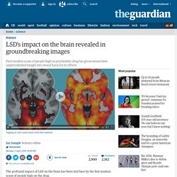 LSD's impact on the brain revealed in groundbreaking images