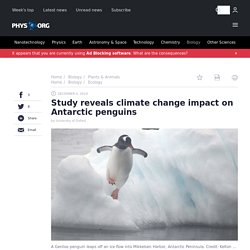 2019-12-reveals-climate-impact-antarctic-penguins.amp?usqp=mq331AQCKAE=&amp_js_v=0.1#aoh=15781210685489&amp_ct=1578121077009&referrer= %1$s&ampshare=