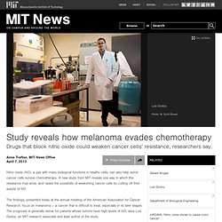 Study reveals how melanoma evades chemotherapy